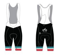Load image into Gallery viewer, DAB PRO BIB SHORTS