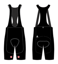 Load image into Gallery viewer, CAMS TEAM BIB SHORTS
