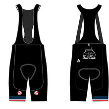 Load image into Gallery viewer, BALLS TO BIKES TEAM BIB SHORTS
